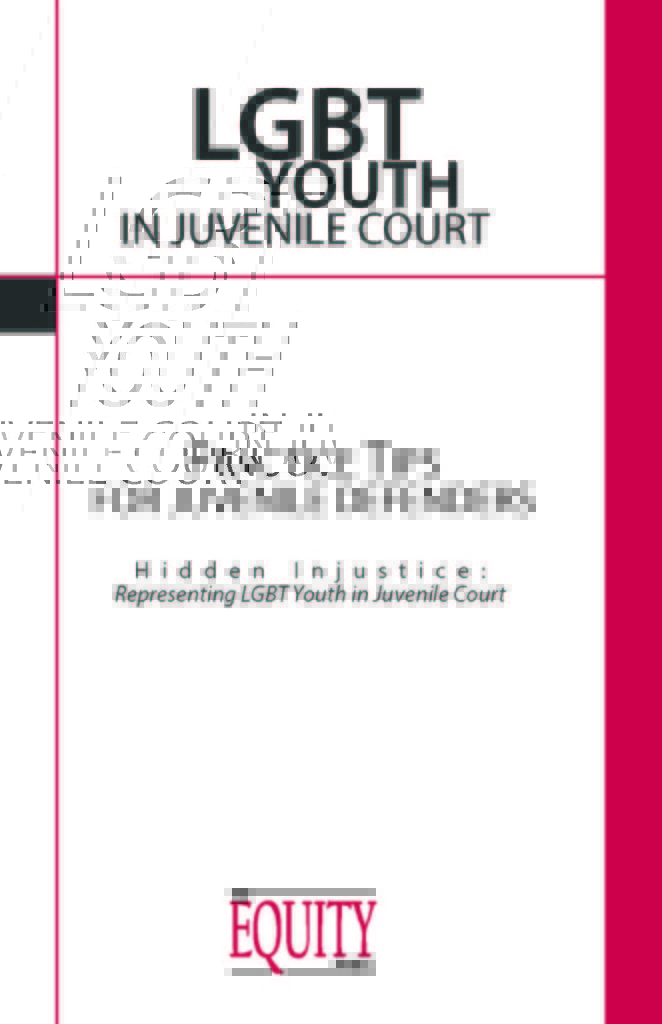 LGBT Youth in Juvenile Court - Cover
